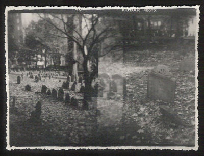 Boston's Dead