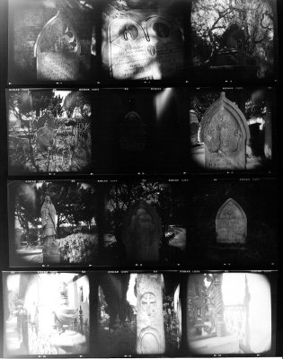 Contact Sheet Study