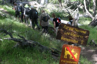 Walk in Los Glaciares national park towards Fitz Roy