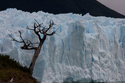 Perito Moreno glacier