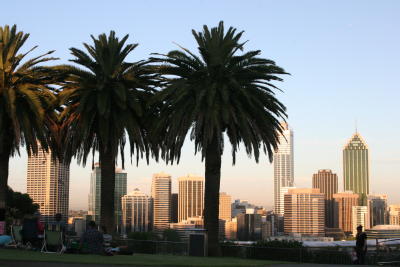 view to Perth downtown from Kings Park