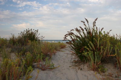 Quindalup beach