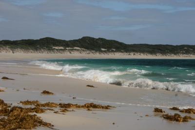 Hamelin Bay