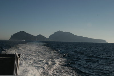 Capri silhouette