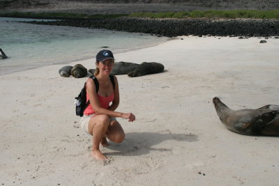 sealions on Santa Fe