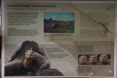 Lonesome George is the last Pinta tortoise