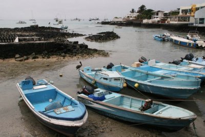 Puerto Ayora is the most populated urban centre in the Galapagos Islands with approximately 10,000 inhabitants