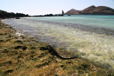 Bartolome island from Santiago island