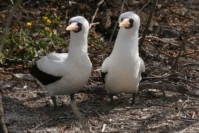 cute couple