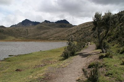 walk around Laguna de Limpiopungo in Cotopaxi National Park at an altitude of 3800 meters!