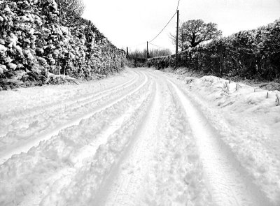 The lane near my home.