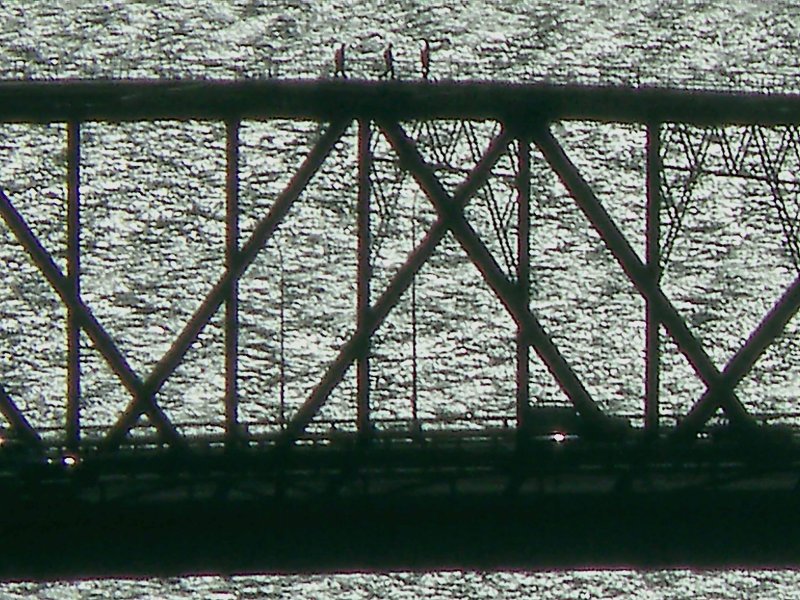 Bridge 2.jpg