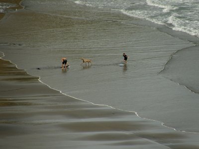 Muriwai Beach 2.jpg