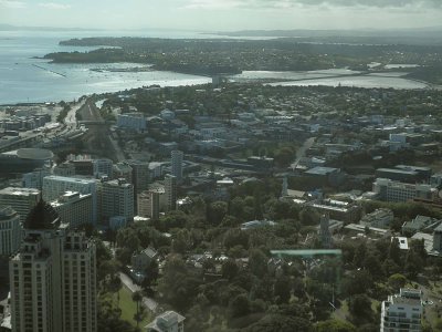 Auckland E.jpg