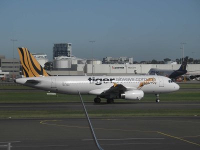 Tiger Airlines.jpg