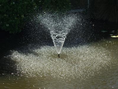 Water Spout.jpg