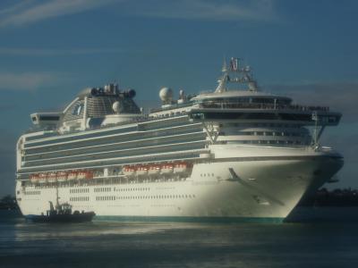 Diamond Princess 3.jpg