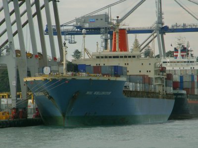 MOL WELLINGTON.jpg