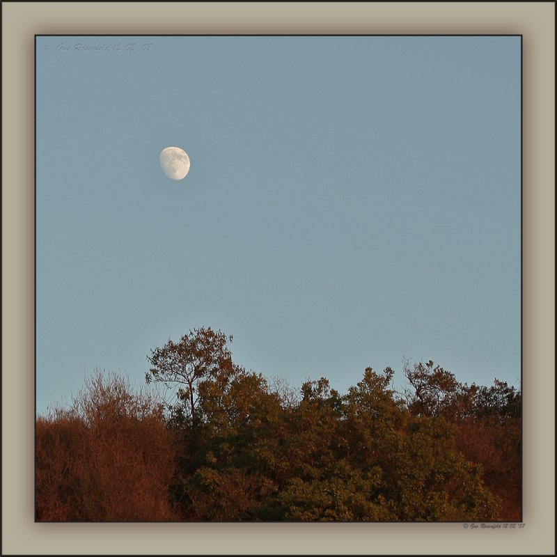 Gibbons Hunters Moon 07