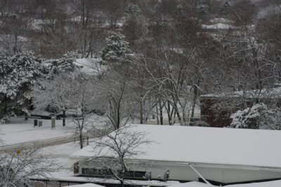 Bão tuyết ban ngày - Snow blizzard day - 035