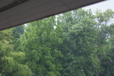 DSC03198
