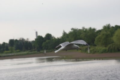 DSC03291