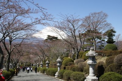 JAPAN AND CHERRY BLOSSOMS - NHẬT BẢN VỚI HOA ANH ÐÀO