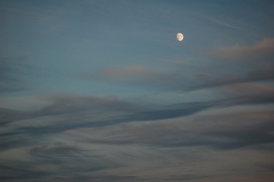 August Moon