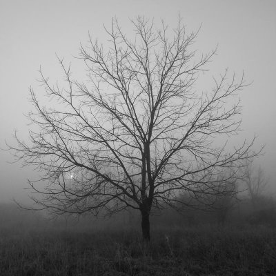 _MG_3803B_W.jpg