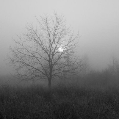 _MG_3807B_W.jpg