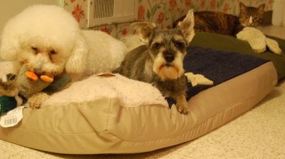 DSC_1934a.JPG