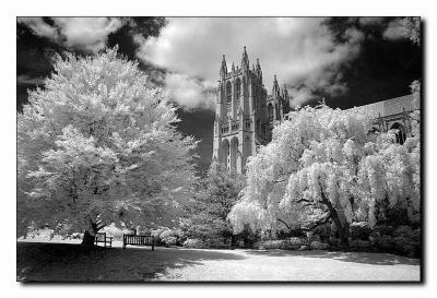 National Cathedral.jpg