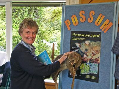 g3/07/383707/3/52943073.525Lorywithstuffedpossum.jpg