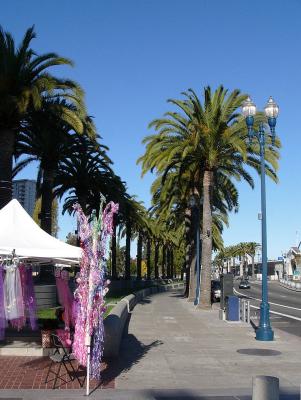 g3/07/383707/3/53876731.151Embarcadero.jpg