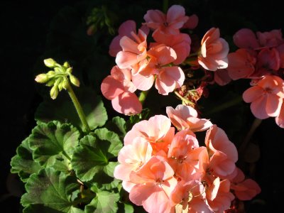 09spring