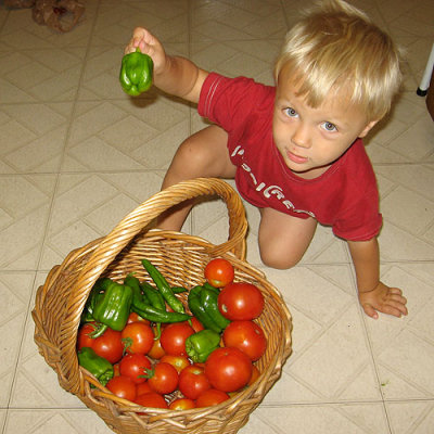 Garden harvest