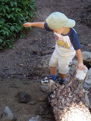 He sees a path of rocks to follow