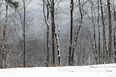 A great Pennsylvania snow