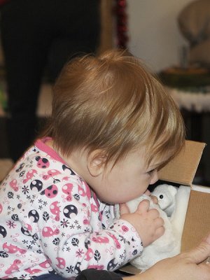An edible polar bear, obviously.