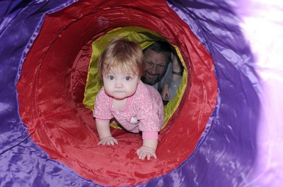 Brave tunnel-crawler