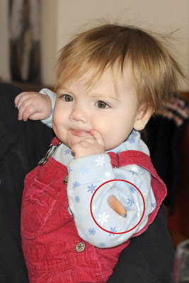 Afraid of being gummed to death, the carrot makes a break for it