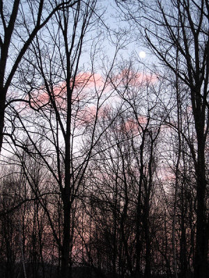 Dusk