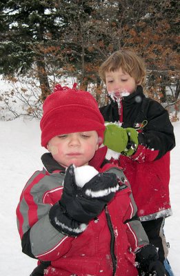 Snow tasters
