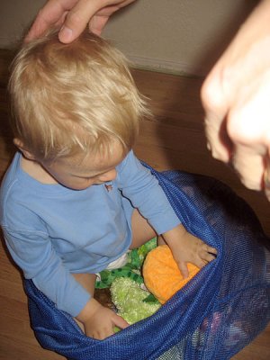 Simon & toys get settled in laundry bag