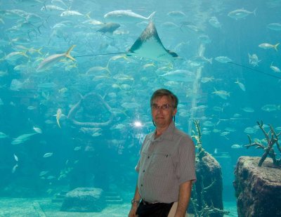 Atlantis aquarium, Nassau DSC03854wb.jpg