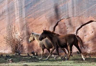 canyon_de_chelly_az