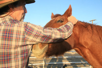 Dave with friendly horse