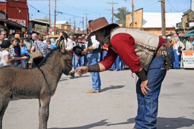 Baby Burro