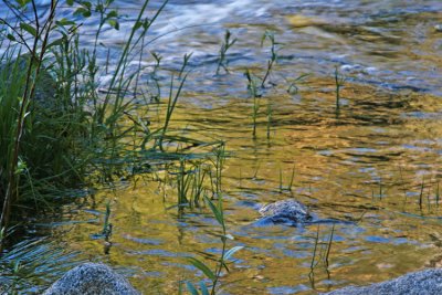 Merced river-late afternoon