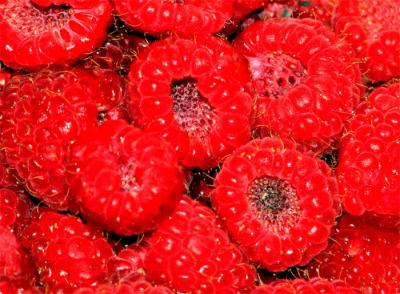 Juicy red raspberries